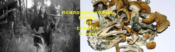 метамфетамин Алексеевка