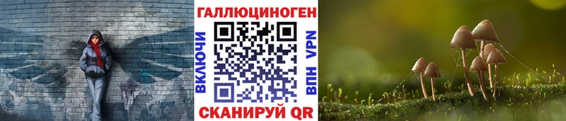 Псилоцибиновые грибы Psilocybine cubensis  MEGA зеркало  Аткарск 